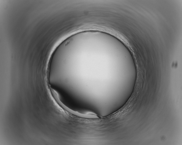 X0000098051536200804181310