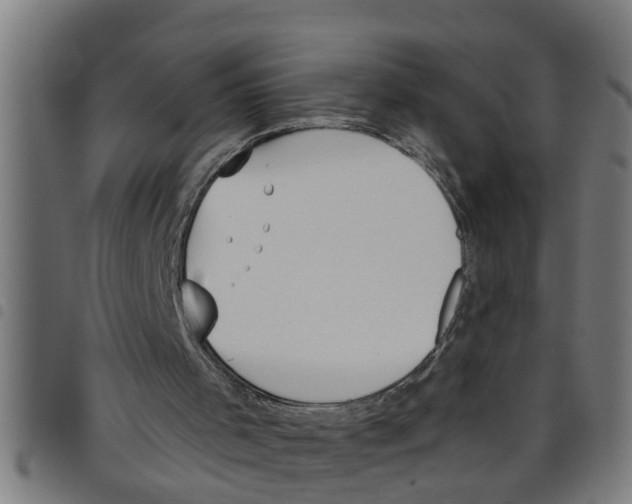 X0000098050001200804251115