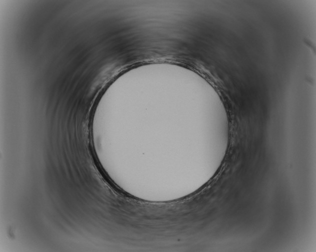 X0000098050002200804251115