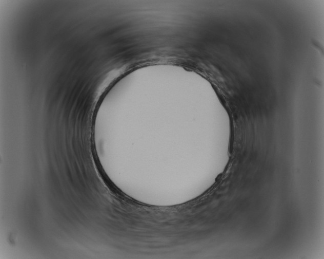 X0000098050003200804251115