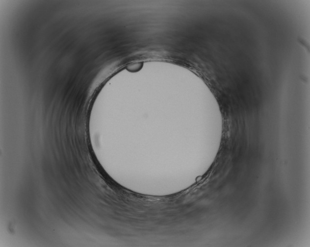 X0000098050004200804251115