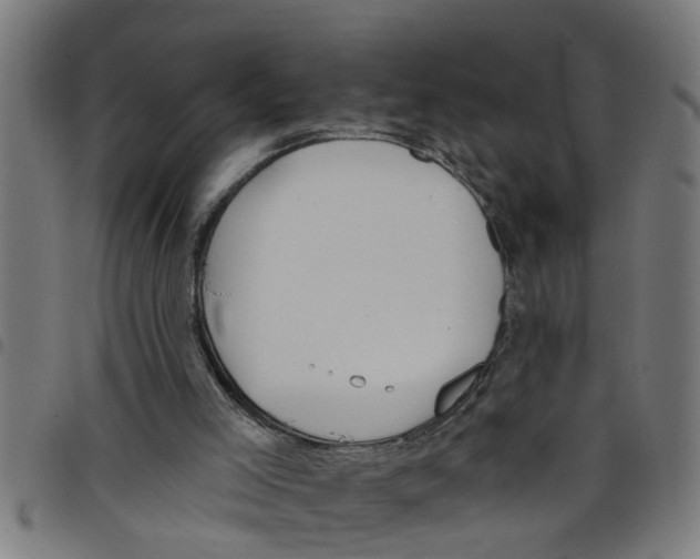 X0000098050005200804251115