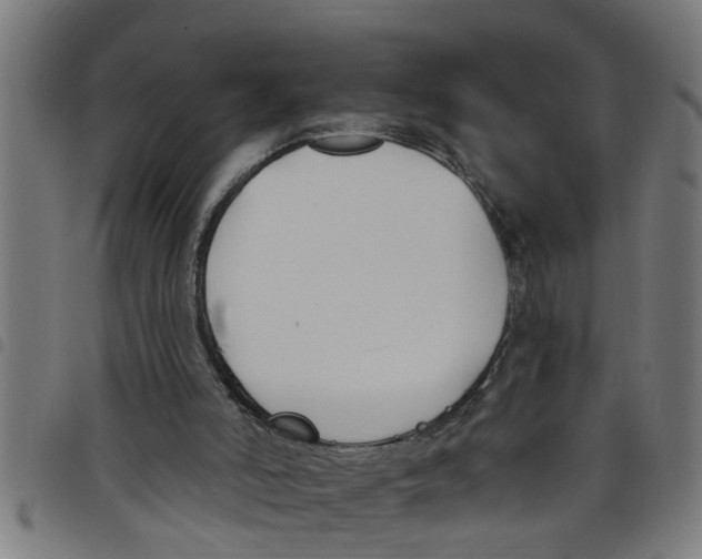 X0000098050006200804251115