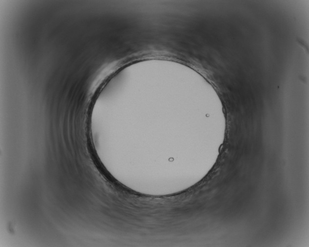 X0000098050007200804251115