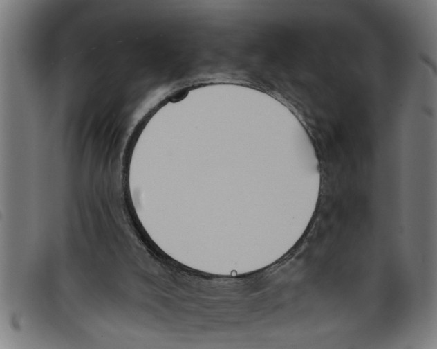 X0000098050008200804251115
