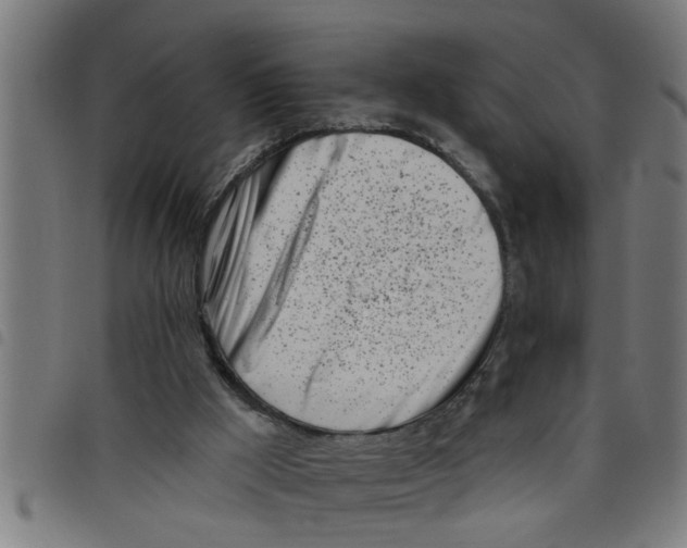 X0000098050009200804251115