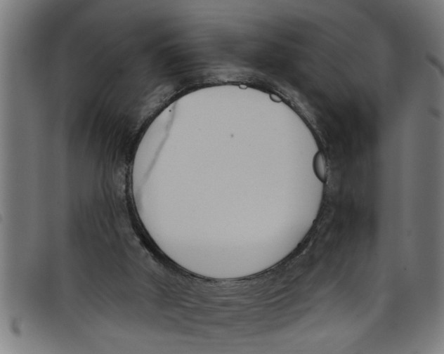 X0000098050010200804251115
