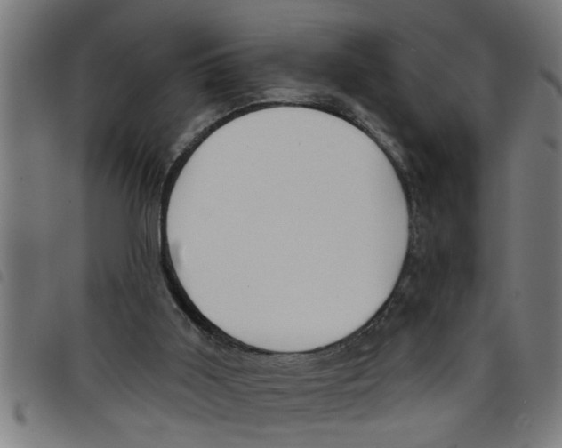 X0000098050011200804251115
