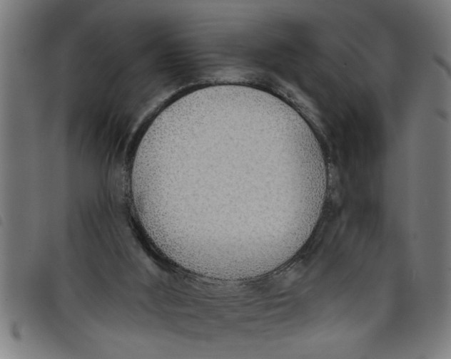 X0000098050012200804251115
