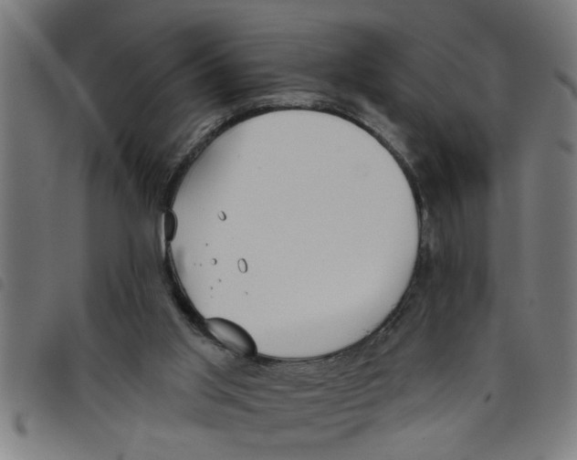X0000098050013200804251115