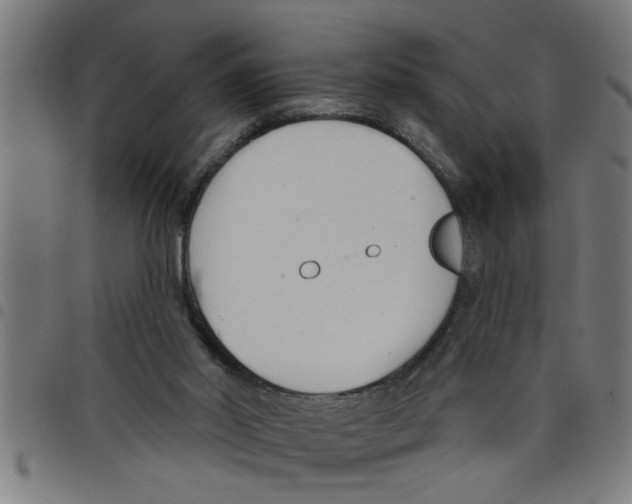 X0000098050014200804251115