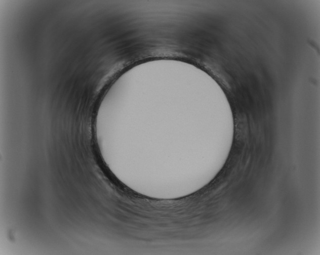X0000098050015200804251115