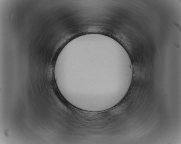 X0000098050016200804251115