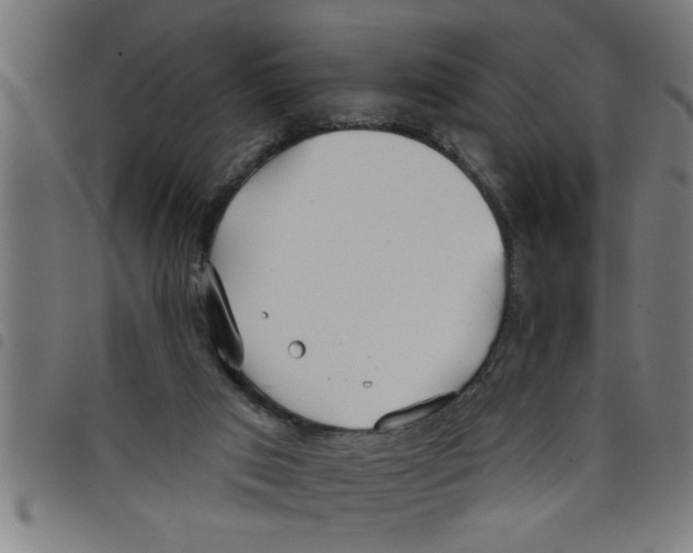 X0000098050017200804251115
