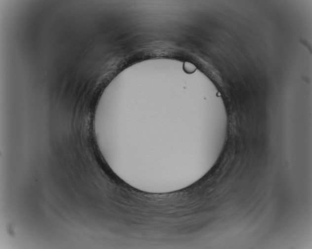 X0000098050018200804251115