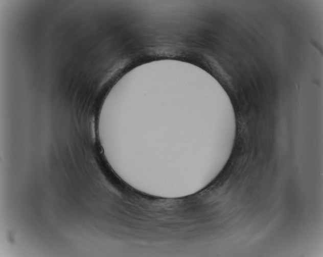 X0000098050020200804251115