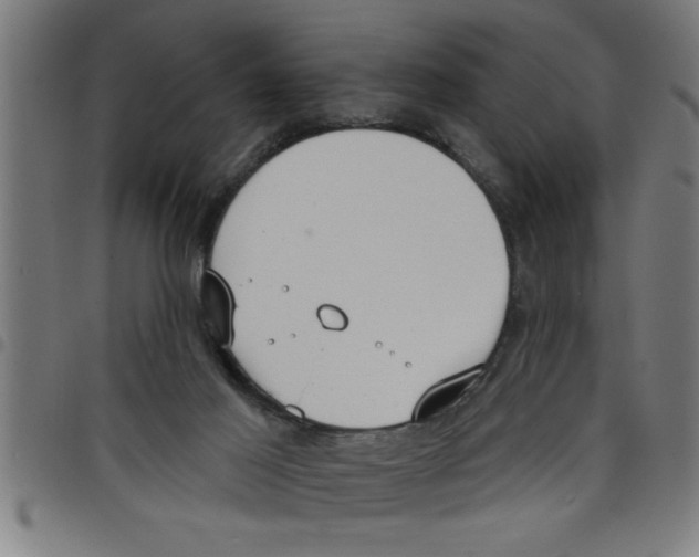 X0000098050021200804251115