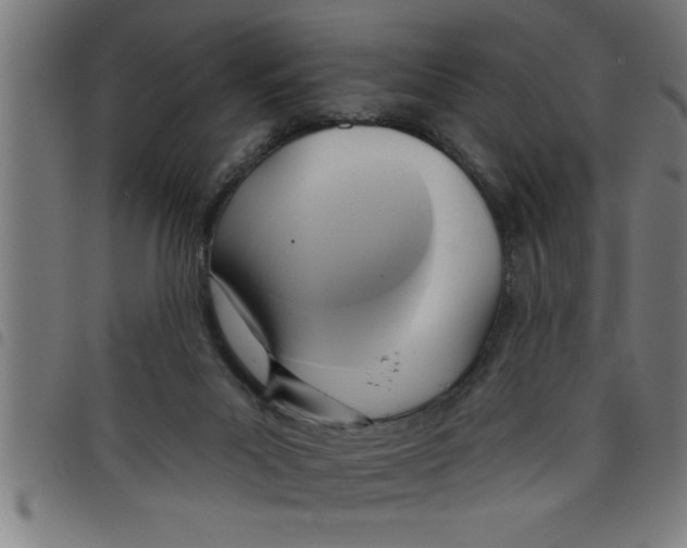 X0000098050023200804251115