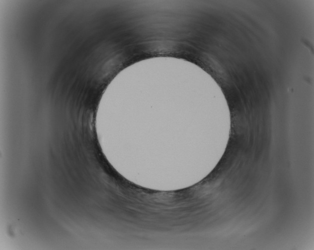 X0000098050024200804251115