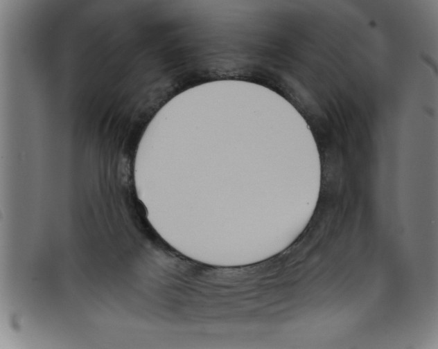 X0000098050025200804251115