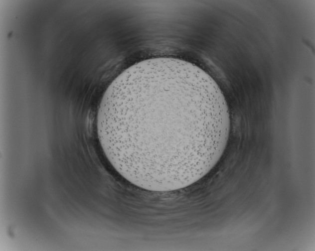 X0000098050026200804251115
