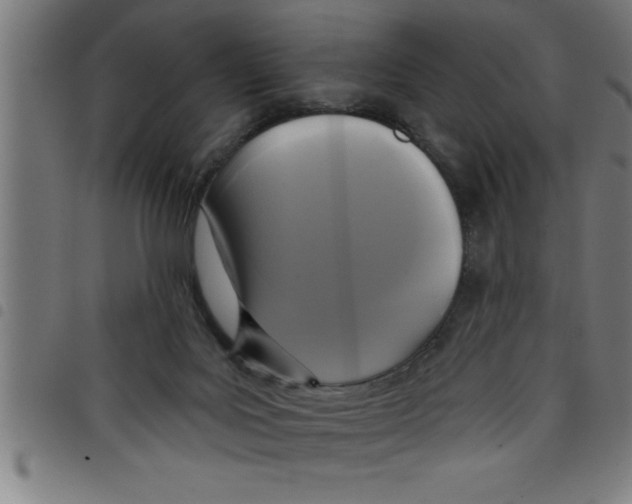 X0000098050027200804251115