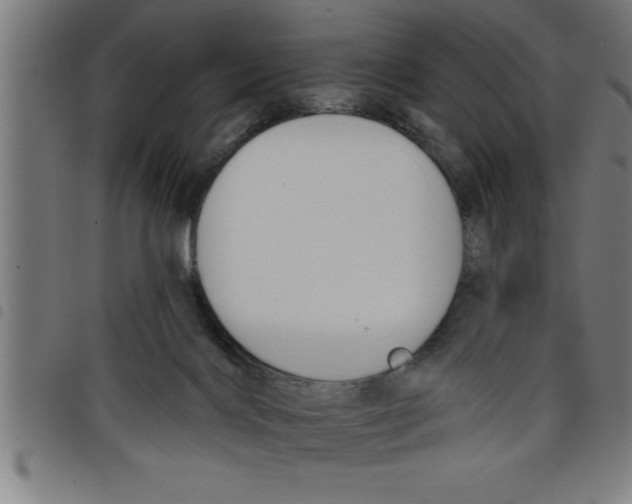 X0000098050028200804251115