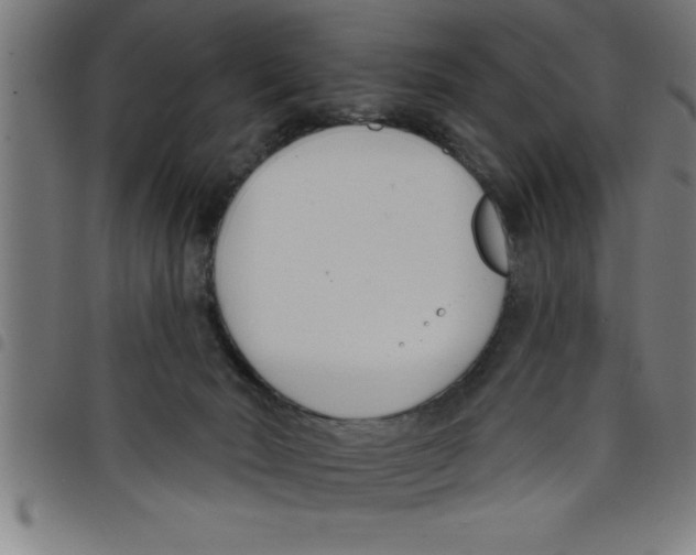 X0000098050030200804251115