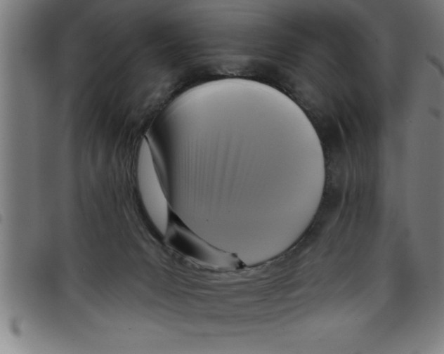 X0000098050031200804251115
