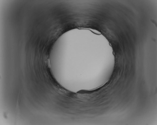 X0000098050033200804251115