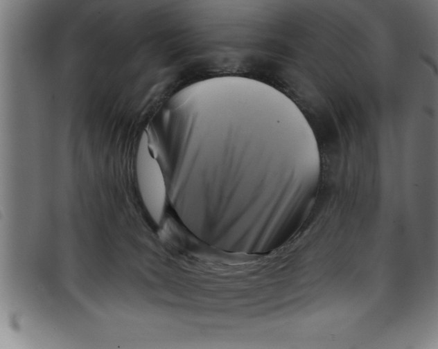 X0000098050035200804251114