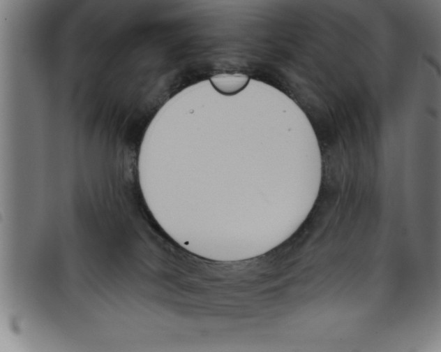 X0000098050038200804251114