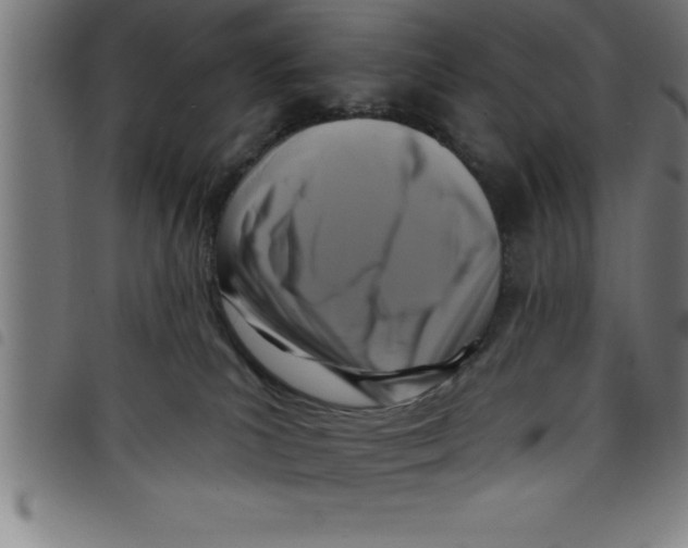 X0000098050039200804251114