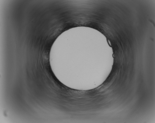 X0000098050040200804251114
