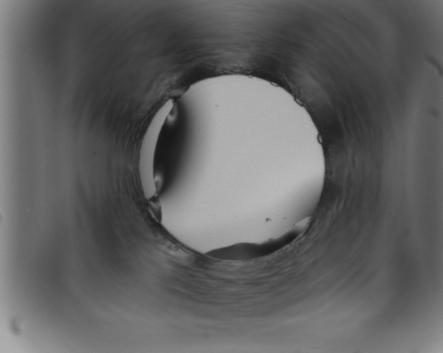 X0000098050041200804251114