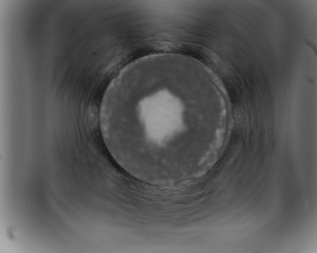 X0000098050043200804251114