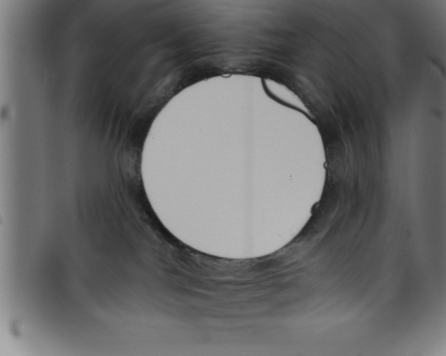 X0000098050044200804251114