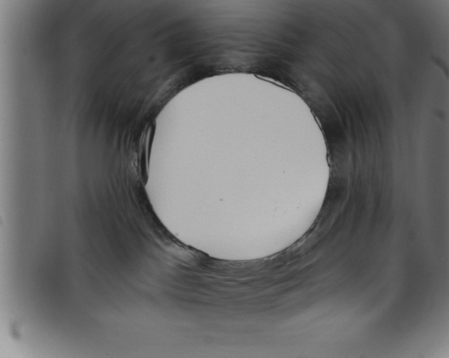 X0000098050045200804251114