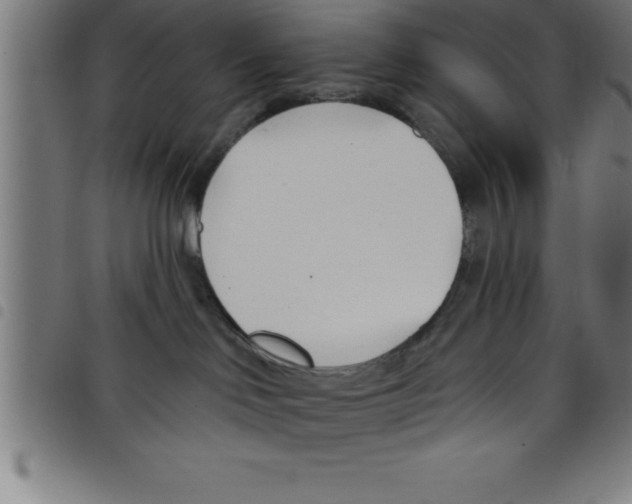 X0000098050046200804251114
