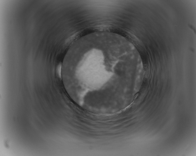 X0000098050047200804251114