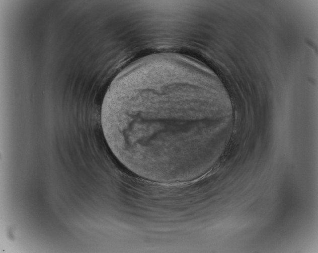 X0000098050048200804251114