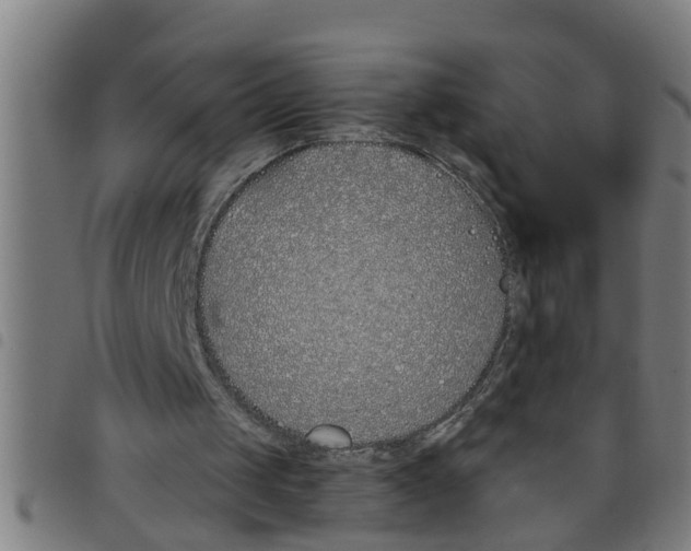 X0000098050049200804251114