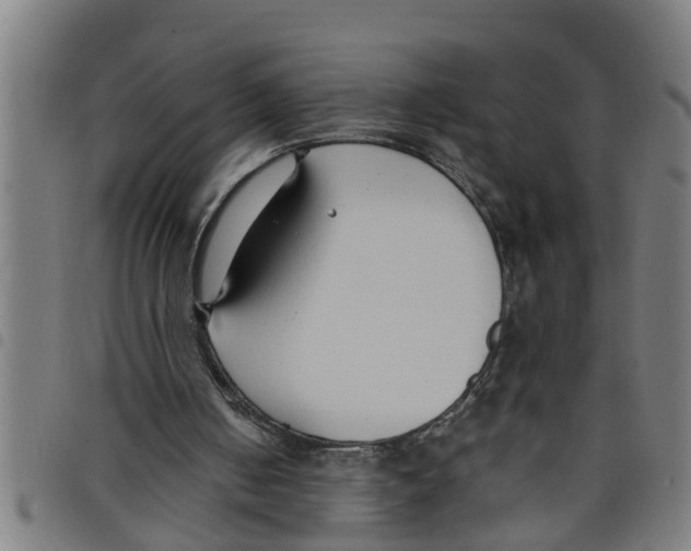X0000098050050200804251114