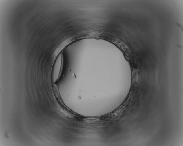 X0000098050051200804251114
