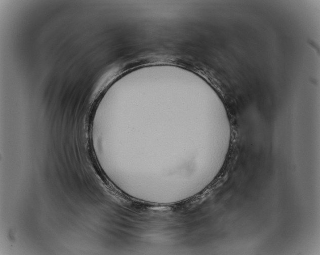 X0000098050053200804251114