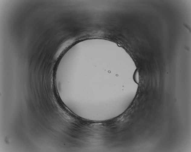 X0000098050054200804251114
