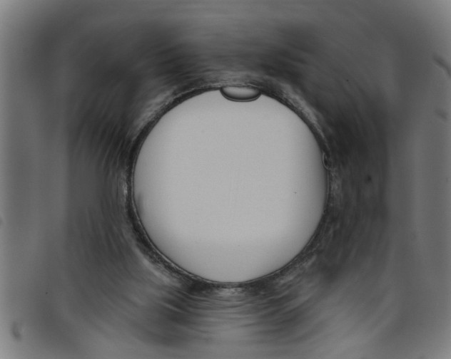 X0000098050059200804251114