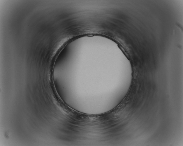 X0000098050060200804251114