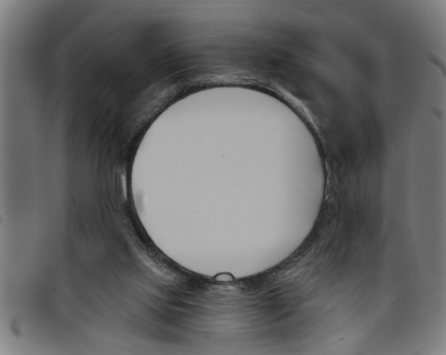 X0000098050061200804251114
