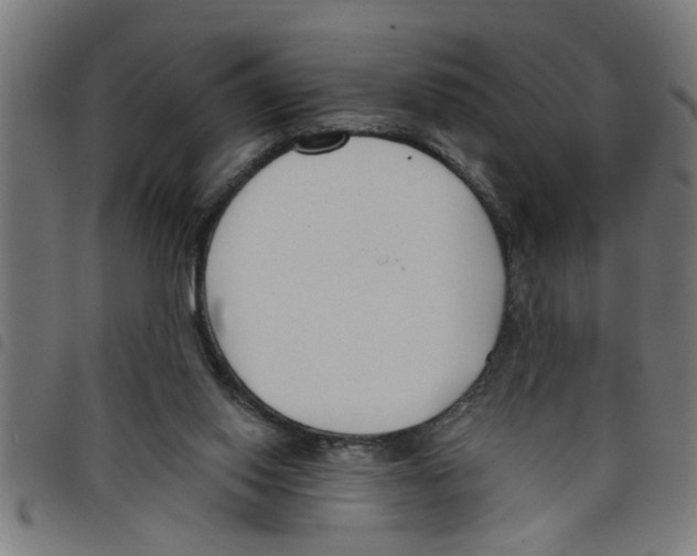 X0000098050062200804251114